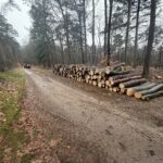vers gezaagd hout